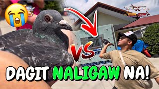 PINAGKAGULUHAN NG MGA KALAPATIDS VLOGGERS YUNG NADAGIT KO GUSTONG AGAWIN SA AMO 🤣