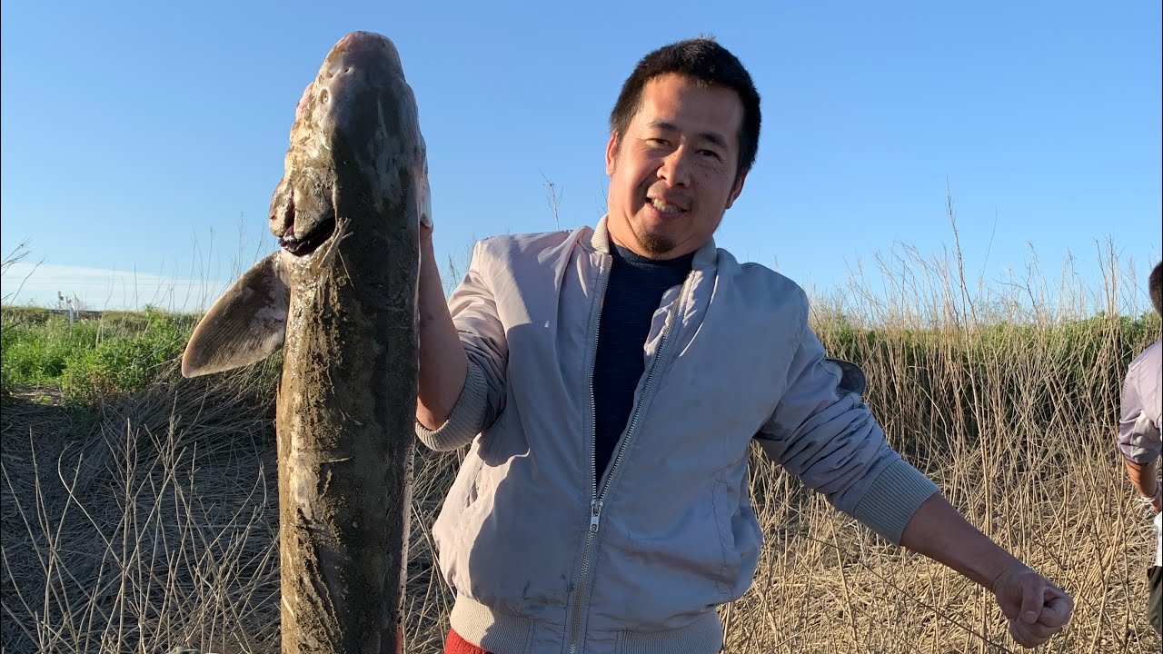 Sturgeon fishing Sacramento River 4/15/23 YouTube