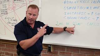 Download Lagu Epinepherine 1:1 or 1:10 MP3