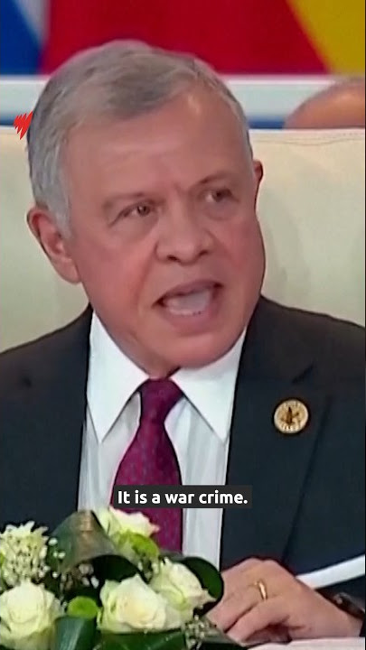 Jordan's King criticises Israel's 'collective punishment' of Palestinians in Gaza