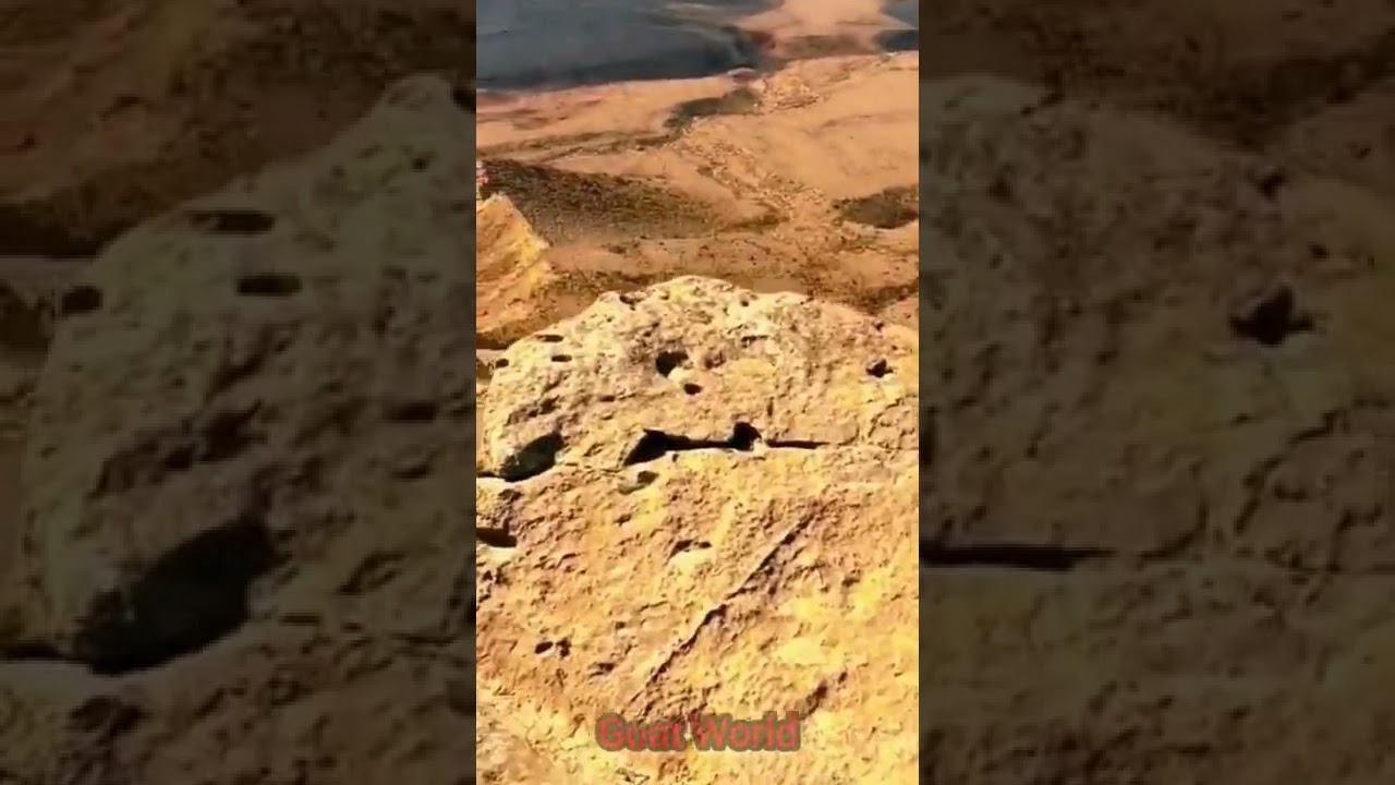 Deer Jump. Hiran Jump 