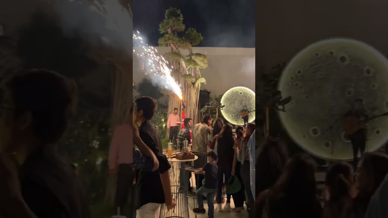 the big treee cafe jaipur 