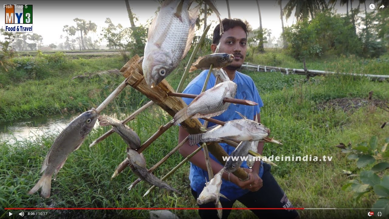 New Technique Of Catching Country Fish | FISH TRAPPING street food | STREET FOOD