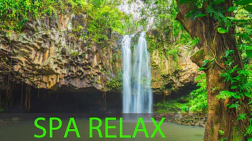 Relaxing Spa Music, Meditation, Healing, Stress Relief, Sleep Music, Yoga, Sleep, Zen, Spa, ☯277