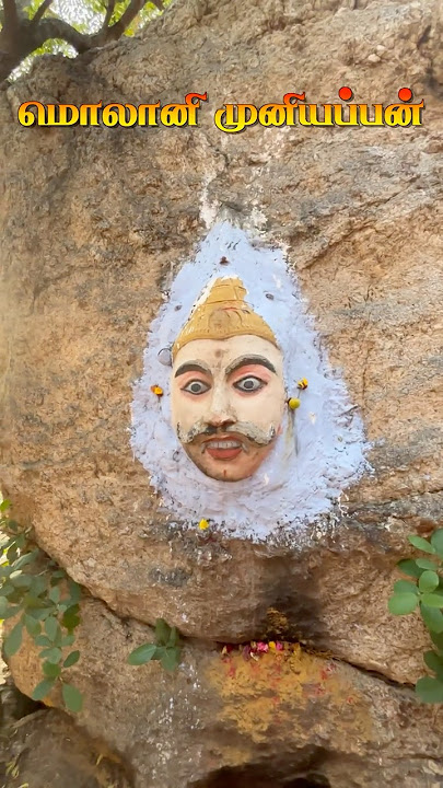 🔥MOLANI MUNIYAPPAN❤️‍🔥 #tamilvlog #god #divine #muniyappan