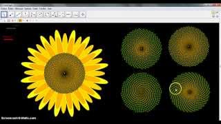 Sunflower spiral  (Geogebra 4.2)