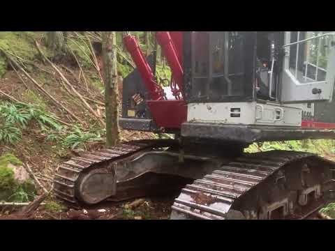 Logging Roads, Lowbed and Hoe