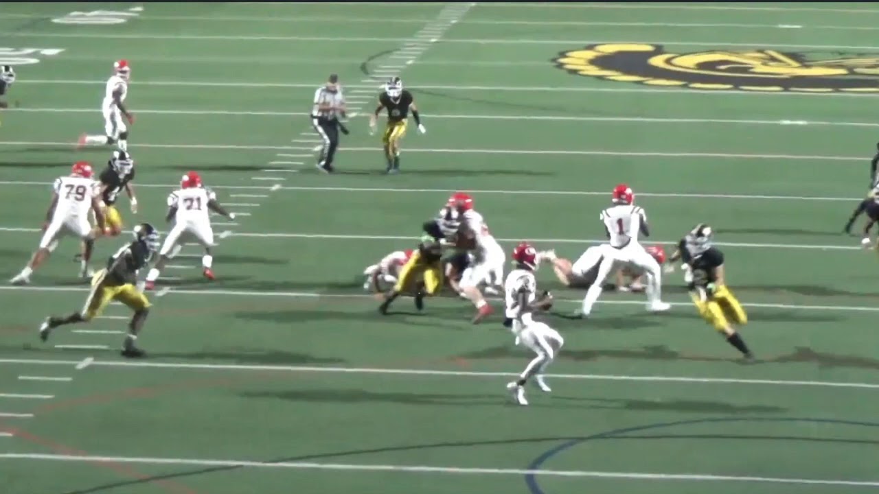 Roughing the Passer - YouTube