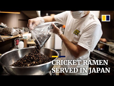 Japan insect enthusiast cooks cricket ramen to promote insect eating