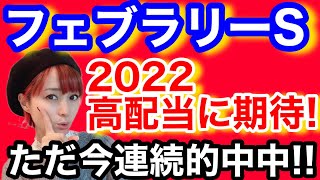 【フェブラリーステークス】オッズは割れ気味！好きなソダシちゃんを切った予想はどう転ぶのか・・・。