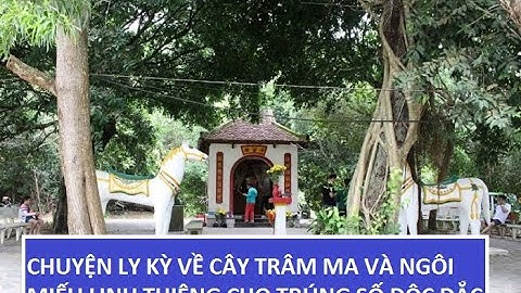 Chuyện Ly Kỳ Về Cây Trâm Ma Và Ngôi Miếu Linh Thiêng Cho Trúng Số Độc Đắc