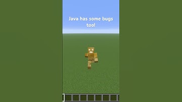 Bugrock or Java? #shorts