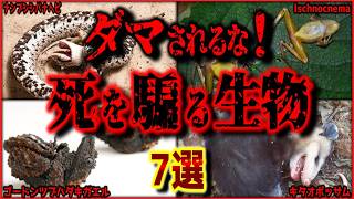 【閲覧注意】どう見ても○体!? シんだふりをする生き物 7選【ゆっくり解説/作業用BGM/睡眠用/9割が知らない】