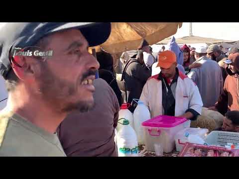 جولة صباحية في سوق خميس زيمة بالشماعية إقليم اليوسفية