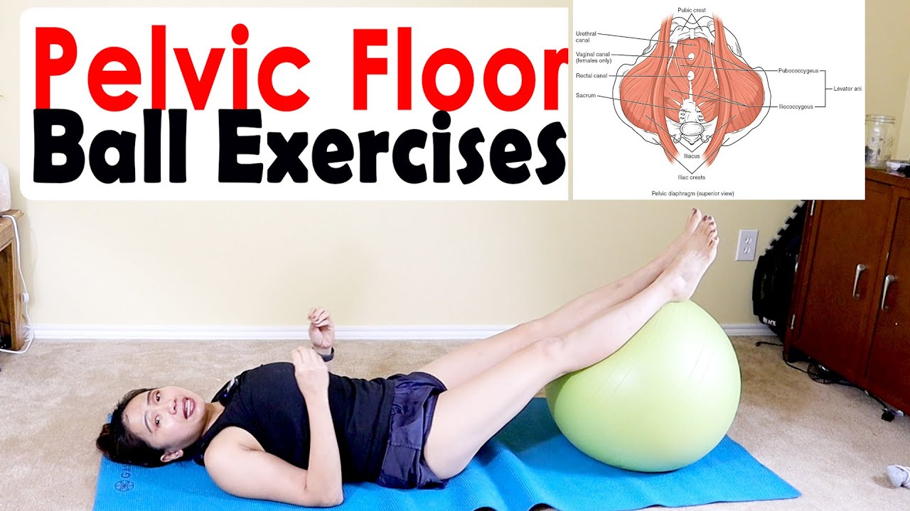 Pelvic Floor Muscles Incontinence And Prolapse 5 Awesome Ball Pilates 