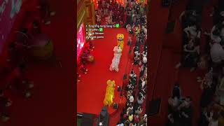 Download Lagu Tiktok lion dance perfomance #barongsai #chineselunarnewyear #imlek #chinesenewyear #tahunbaruimlek MP3