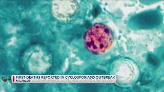First deaths reported in cyclosporiasis outbreak