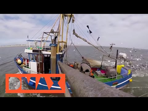 Video: Echte Männer Von Der Wiege An Großziehen