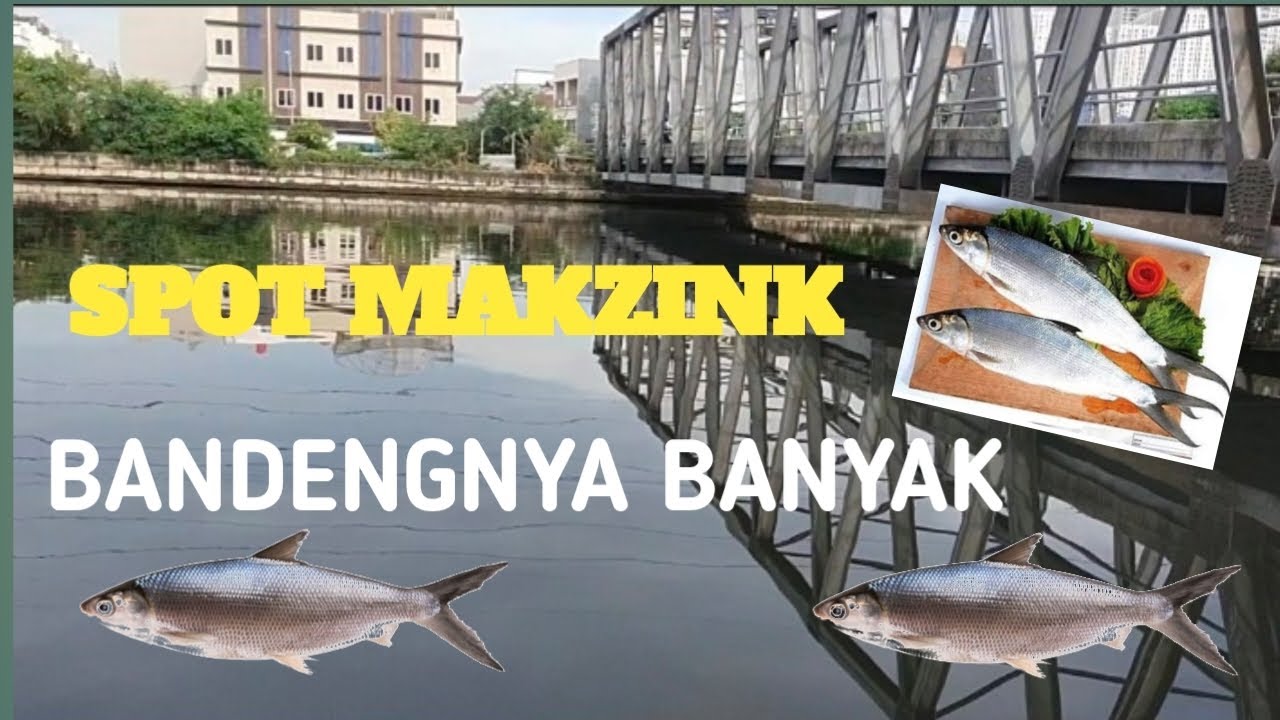 WAJIB DI COBA!! SPOT MANCING BANDENG LIAR MUARA ANGKE
