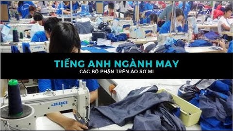 Áo sơ mi tiếng anh gọi là gì năm 2024