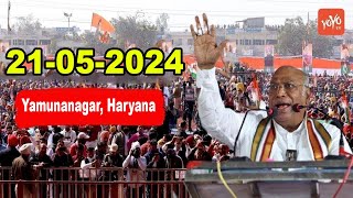 Haryana LIVE: Mallikarjun Kharge Public Rally in Yamunanagar, Haryana || INC Congress | Lok sabha