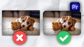 How To Make ROUNDED Corners on Video In Premiere Pro Wealth