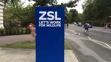 MRes4Kez: Hubbub crowdfunding video