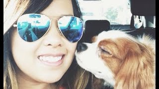 Очки Ray Ban круглые солнцезащитные женские(Очки Ray Ban круглые солнцезащитные женские Купить тут - http://igolkanitocika.ru/women/rbms1 Легендарные очки Ray-Ban – это этало..., 2015-03-17T21:47:42.000Z)