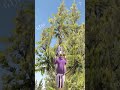 GTA5 ひとくちスタント その291 GTA5 STUNTS #shorts #gta #gta5 #GTA5ひとくちスタント