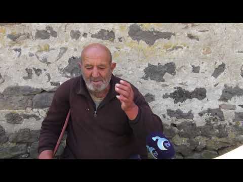 დაზიანებული წყლის მილები მოლითში