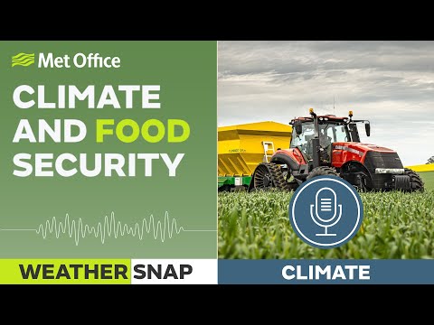 How extreme weather affects farmers  02/11/2023 – weather snap podcast – met office weather uk