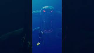 The sea is dangerous #deepwaterhorizon #sealife #seacreatures #diving #shark #seadweller #marinelife