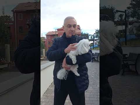 ჩემი შვილი დაჭრილია, ის ყაზახი დაჭრილია, პიპო შეშინებულია - თამაზ ელიზბარაშვილის ვიდეო