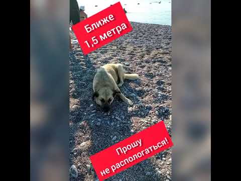 Машина напрокат в анталии