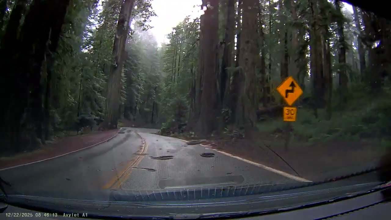 Rainy Morning Drive in The Redwood Forest on California 199 Freeway