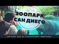 ЗООПАРК САН ДИЕГО - SAN DIEGO ZOO. (осторожно! в конце секс черепах)