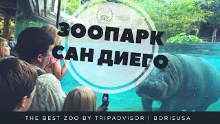 ЗООПАРК САН ДИЕГО - SAN DIEGO ZOO. (осторожно! в конце секс черепах) ЗООПАРК САН ДИЕГО - SAN DIEGO ZOO. (осторожно! в конце секс черепах)