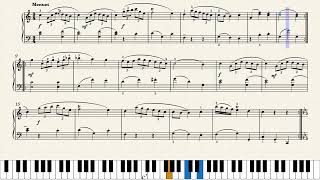 하이든 | Haydn - Sonata (Divertimento) in C Major, Hob XVI:1 III. Menuet