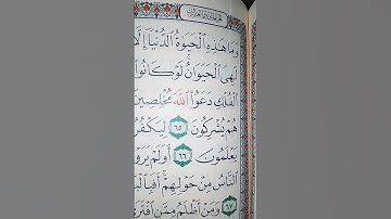 ما معنى "إن الدار الآخرة لهى الحيوان"#سورة #العنكبوت