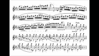 Mozart, Wolfgang A. mvt1 6th violin concerto KV 268