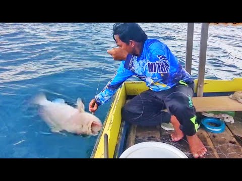 CUKUP MENEGANGKAN SEBELUM HUJAN LEBAT SAMBARAN IKAN KEMBAR INI MEMBUAT SAYA SAMPAI KAGET