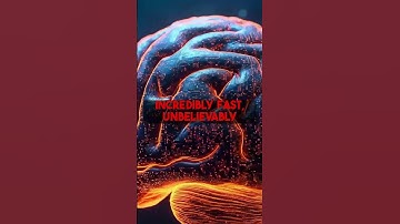 transcribethis.io: Fast, Cheap, Error-Free AI Transcription for $29.99.