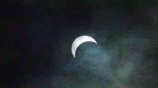 Eclipse in Clouds Net Worth