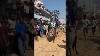 #jagan #jallikattu #ysjagangoverance #bull #jaganfans #musicgenre #djremix #djsong #dj #aroundtelugu