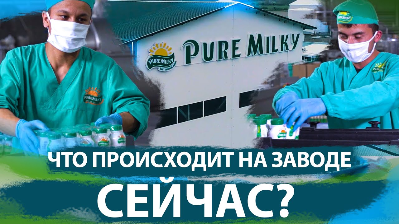 puremilky-youtube