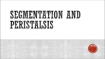 Segmentation and Peristalsis