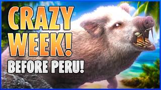 I Hunted for a WHOLE WEEK Before PERU & This is What I Found! - the Hunter Call of the Wild