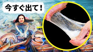 サメでさえ恐れている、ぬるぬるした魚の正体とは！？