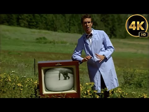 Animal Locomotion