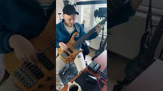 #Dilauzun - ilkbahar ( #Basscover ) #Kensmith #Bsr6 #SadowskyPreamp #Türkçepop #Popbass #basshouse